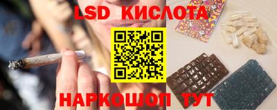 гашик Кимры