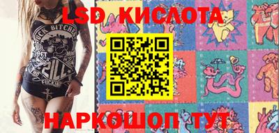 гашик Кимры