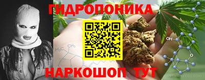 соль ск Кингисепп
