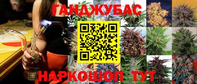 соль ск Кингисепп