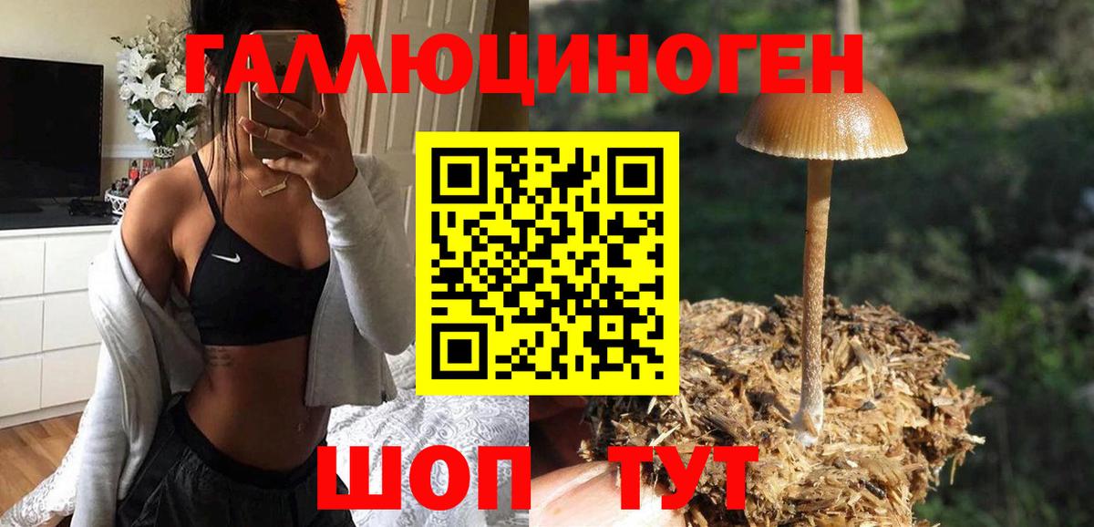 Галлюциногенные грибы прущие грибы  Псилоцибиновые грибы GOLDEN TEACHER  Арзамас  Вход с VPN 
