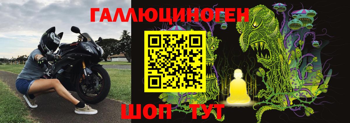 Псилоцибиновые грибы мицелий Арзамас